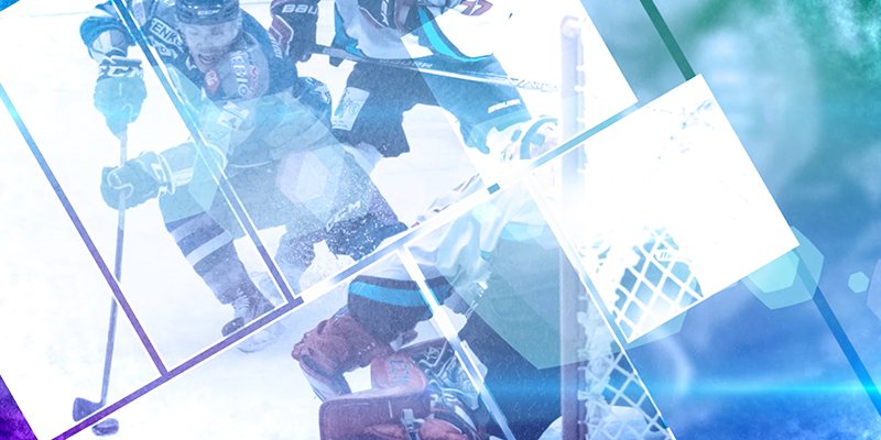 東北フリーブレイズの選手紹介煽り映像