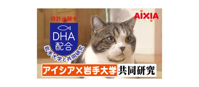 アイシア株式会社のキャットフードCM